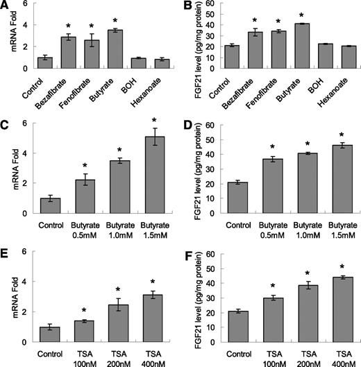 FIG. 1. Butyrate increases FGF21 mRNA and protein in HepG2 cells. A: Increase of FGF21 mRNA expression by butyrate. The cells were serum starved in DMEM supplemented with 0.25% BSA overnight and treated with bezafibrate (100 μmol/L), fenofibrate (500 μmol/L), butyrate (1 mmol/L), BOH (1 mmol/L), and hexanoate (1 mmol/L) for 2 h. The total RNA was extracted and subjected to qRT-PCR analysis for FGF21 mRNA. B: Increase of FGF21 protein by butyrate. The cells were serum starved in DMEM supplemented with 0.25% BSA overnight and treated with bezafibrate (100 μmol/L), fenofibrate (500 μmol/L), butyrate (1 mmol/L), BOH (1 mmol/L), and hexanoate (1 mmol/L) for 6 h. The FGF21 protein was determined in the whole-cell lysate by enzyme-linked immunosorbent assay. C: Butyrate increases FGF21 mRNA in a dose-dependent manner. D: Butyrate induces FGF21 protein in a dose-dependent manner. E: TSA increases FGF21 mRNA in a dose-dependent manner. F: TSA induces FGF21 protein in a dose-dependent manner. Data are mean ± SEM, n = 4. *P < 0.05 vs. control.