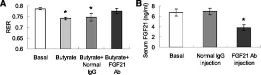 FIG. 4. Butyrate administration promotes fatty acid oxidation via FGF21 in obese mice. Substrate use, O2 consumption, and spontaneous physical activity were examined using the metabolic chamber in obese mice (n = 8). Butyrate was injected at 500 mg/kg body wt at 12 A.M., and data were recorded during 7 P.P. to 7 A.M. after the injection. A: Substrate use in mice is expressed by RER. B: Serum FGF21 was determined after injection of 3 μg rabbit–anti-mouse FGF21 antibody (Ab) or normal IgG. Data are mean ± SEM. *P < 0.05 vs. basal.