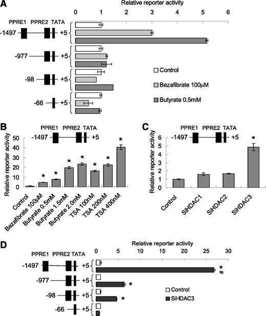 FIG. 5. Butyrate activates FGF21 gene transcription by targeting HDAC3. Transient transfection was conducted with the FGF21 luciferase reporters in HEK 293 cells. In cotransfection, the expression plasmids for PSG5–PPAR-α, retinoid X receptor, siRNA for HDACs (siHDAC1, siHDAC2, and siHDAC3), and scrambled siRNA were used. The cells were treated with bezafibrate, butyrate, or TSA at 24 h after transfection and harvested 16 h later for luciferase assay. In all of the transient transfection experiments, the internal control was 0.1 μg/well of simian virus 40 (SV40) R. luciferase reporter plasmid, and the total DNA concentration was corrected in each well with a control plasmid. A: Butyrate response element. Cells were transfected with the FGF21 luciferase reporter plasmids in the presence of SV40. Cells were treated with 100 μmol/L bezafibrate or 0.5 mmol/L butyrate for 16 h. B: Dose-dependent activity of butyrate. Cells were transfected with the long promoter (−1,497/5) reporter in the presence of PPAR-α expression plasmid or control plasmid. Cells were treated with bezafibrate (100 μmol/L), butyrate (0.5, 1.5, and 2.0 mmol/L), or TSA (100, 200, and 400 nmol/L) for 16 h. C: HDAC3 knockdown. In the FGF21 (−1,497/5) reporter system, HDACs were inhibited with siRNA of HDAC1, HDAC2, and HDAC3. Scrambled siRNA was used as a negative control. D: HDAC3 interaction with PPAR-α. In the FGF21 luciferase reporter system, the reporter activity was induced by cotransfection of PPAR-α expression vector. HDAC3 was knocked down by siRNA. Data are mean ± SEM. *P < 0.05 vs. control; #P < 0.05 vs. shorter promoters. TATA, TATA box.