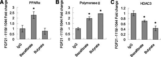 FIG. 6. HDAC3 interacts with PPAR-α in the FGF21 promoter. ChIP assays were performed using liver tissues collected after bezafibrate and butyrate injection. Immunoprecipitation was performed with antibodies to PPAR-α (A), polymerase II (B), and HDAC3 (C). Rabbit IgG was used in the negative control. The specific chromatin DNA was quantified in qRT-PCR with the primer against the distal PPRE (−1,119/−1,044) in the mouse FGF21 gene promoter. Data are mean ± SEM, n = 4. *P < 0.05 vs. IgG control.