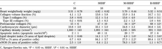 Structural and molecular features of the heart in Sprague-Dawley, SHHF, M-SHHF, and R-SHHF rats
