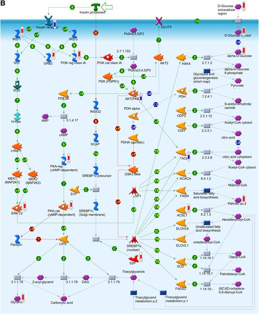 FIG. 4. Integration of the metabolomics with transcriptomics data and their superimposition to build metabolic networks. A: Metabolic network of PPAR transcription pathway, which is connected to other metabolic processes such as lipid homeostasis, glucose, fatty acid metabolism, and inflammatory response. B: Network model of downstream of insulin-signaling pathways. The metabolites and the gene names shown in red are upregulated, and the same shown in blue are downregulated during insulin deficiency. B, binding; C, cleavage; CoA, coenzyme A; Erk, extracellular signal–related kinase; HPODE, hydroperoxylinoleic acid; IE, influence on expression; MAP, mitogen-activated protein; MAPK, MAP kinase; PDGF, platelet-derived growth factor; PI3K, phosphatidylinositol 3-kinase; PKA, cAMP-dependent protein kinase; PKB, protein kinase B; P-, dephosphorylation; RXR, retinoid X receptor; SREBP1c, sterol regulatory element–binding protein 1c; T, transformation; TGF, transforming growth factor; TR, transcription regulation; +P, phosphorylation; Z, catalysis; GPCR, G protein-coupled receptor; 15d-PGJ2, deoxy-delta prostaglandin J2; PDK/PDK1, 3-phosphoinositide-dependent protein kinase -1; ACACA, acetyl-CoA carboxylase; ACSL, acyl-CoA synthetase long-chain family members; ACLY, ATP citrate lyase; BCAA, branch chain amino acid; CISY, citrate synthase; DAG, diacylglycerol; ELOVL, elongation-of-very-long-chain-fatty acids; EMT, epithelial-mesenchymal transition; BEH, ethylene-bridged hybrid; 4E-BP1, eukaryotic translation initiation factor 4E binding protein 1; FADS1, fatty acid desaturase 1; FASN, fatty acid synthase; GSK3β, glycogen synthase kinase 3; GNAS, G protein αs- dependent adenylate cyclase; GRB2, growth factor receptor-bound protein 2; H-Ras, Harvey rat sarcoma viral oncogene homolog; HGF, hepatocyte growth factor; HXK, hexokinase; HSS, high-strength silica; HODE, hydroxyoctadecadienoic acid; INSIG2, insulin-induced gene 2; IRS-1 and IRS-2, insulin receptor substrates-1 and -2; TRIP, mediator complex subunit 1; MEK/MAP1, mitogen-activated protein kinase kinase 1; NCOA1, nuclear receptor coactivator 1; NRC1/SRC1, nuclear receptor coactivator 1; N-CoR, nuclear receptor corepressor; SMRT, nuclear receptor corepressors; NUDT1, nudix (nucleoside diphosphate-linked moiety X)-type motif 1; PtdIns(3,4,5)P3, phosphatidylinositol 3,4,5-triphosphate; P13K, phospatidylinositol 3-kinase; PtdIns(4,5)P2, phosphatidylinositol 4,5-biphosphate; PGE, prostaglandin; PTGIS, prostaglandin I2 (prostacyclin) synthase; PDGHS, prostaglandin-endoperoxide synthase 2 prostaglandin G/H synthase; COX2, cyclooxygenase 2; PDHA, pyruvate dehydrogenase (lipoamide) α1; QCs, quality controls; RARs, retinoic acid receptors; RXRA, retinoid X nuclear receptor (α; SHC, Src homology 2 domain containing transforming protein 1; SHP, small heterodimer partner; SOS, son of sevenless protein homologs 1 and 2; c-Raf-1, gene homolog 1; XIAP, X-linked inhibitor of apoptosis.
