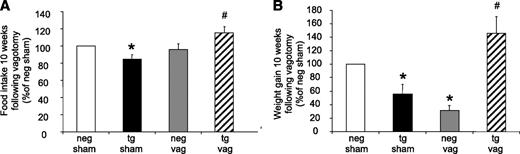 FIG. 3. Food intake and body weight in vagotomized (vag) liver FBPase transgenic (tg) mice. Percentage food intake (A) and weight gain (B) from sham-operated and vagotomized hemizygous TG and negative (neg) littermate mice 10 weeks after vagotomy (n = 4 for each group). *P < 0.05 vs. NEG sham; #P < 0.05 vs. TG sham, one-way ANOVA. All data expressed as mean ± SEM.