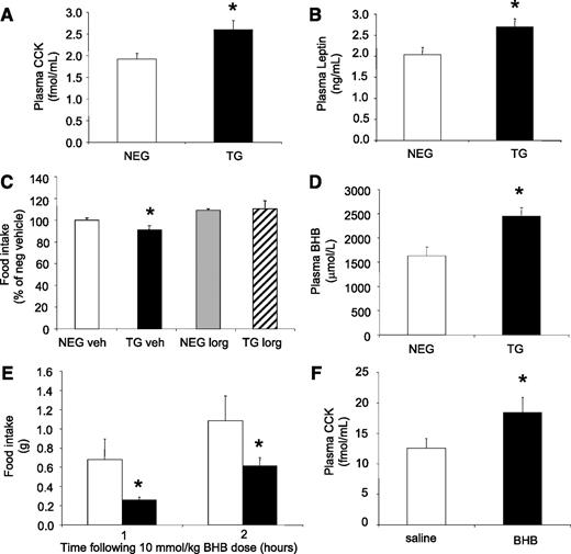FIG. 5. Increased satiety hormones in livers of FBPase transgenic (TG) mice. Circulating CCK (A) and circulating leptin (B) levels in hemizygous TG (black bars) and negative (NEG, white bars) littermate mice (n = 6). *P < 0.05 vs. NEG, one-way ANOVA. C: Food intake levels after CCK1 receptor antagonist (lorglumide [LORG], 300 μg/kg) treatment (n = 5). *P < 0.05 vs. all groups, one-way ANOVA. D: Circulating BHB concentrations in hemizygous TG (black) and NEG (white) littermate mice (n = 8). *P < 0.05 vs. NEG, one-way ANOVA. Food intake levels at 1 and 2 h (E) and circulating CCK concentration at 1 h (F) after BHB (10 mmol/kg) administration to C57Bl/6J mice (n = 16). *P < 0.05 vs. NEG, one-way ANOVA. All data expressed as mean ± SEM.