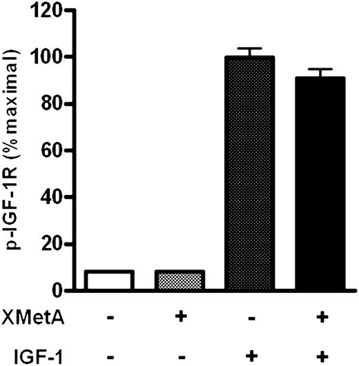 FIG. 3. XMetA does not activate the IGF-IR. CHO-hIGF-IR cells were incubated with either 33 nmol/L XMetA or isotype control antibody in the presence or absence of 100 nmol/L IGF-I. IGF-IR autophosphorylation was measured by ELISA (n = 3). p, phosphorylation.