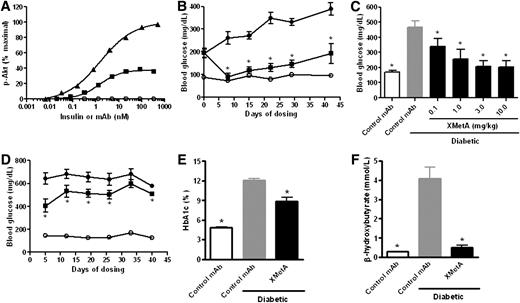 FIG. 5. XMetA improves hyperglycemia and other metabolic markers of disease in diabetic mice. A: CHO-mINSR cells were incubated with increasing concentrations of XMetA (■), isotype control antibody (○), or insulin (▲), and Akt phosphorylation was measured by ELISA (n = 3). B: Fasting blood glucose measurements were obtained weekly for 6 weeks from control mice treated with 10 mg/kg isotype control antibody (○) and diabetic mice treated with either 10 mg/kg XMetA (■) or isotype control antibody (●). C: After 3 weeks of treatment, fasting blood glucose was measured in control mice treated with 10 mg/kg isotype control antibody (white bar), diabetic mice treated with 10 mg/kg isotype control antibody (gray bar), and diabetic mice treated with the indicated doses of XMetA (black bars). D: Nonfasted blood glucose measurements were obtained weekly for 6 weeks from control mice treated with 10 mg/kg isotype control antibody (○) and diabetic mice treated with either 10 mg/kg XMetA (■) or isotype control antibody (●). After 6 weeks of treatment, blood hemoglobin A1c (E) and nonfasted plasma β-hydroxybutyrate (F) were measured in control mice treated with 10 mg/kg isotype control antibody (white bar) and diabetic mice treated with either 10 mg/kg isotype control antibody (gray bar) or XMetA (black bar). Values shown are mean ± SEM. *P < 0.05 for diabetic mice treated with XMetA compared with isotype control; n = 8 mice/group. mAb, monoclonal antibody.
