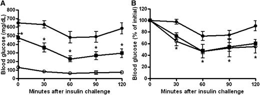 FIG. 7. XMetA improves insulin tolerance in diabetic mice. A: After 5 weeks of treatment, insulin was administered intraperitoneally at 0.75 units/kg. Blood glucose levels were measured for 120 min in control mice treated with 10 mg/kg isotype control antibody (○) and diabetic mice treated with either 10 mg/kg XMetA (■) or isotype control antibody (●). B: Data normalized to preinsulin glucose values. Values shown are mean ± SEM. *P < 0.05 for diabetic mice treated with XMetA compared with isotype control antibody; n = 8 mice/group.