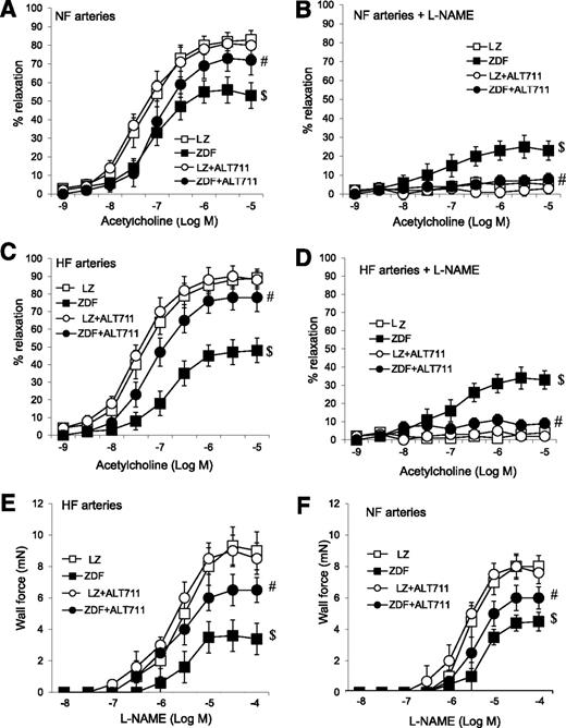 FIG. 3. A and C: ACh-induced relaxation in HF and NF mesenteric resistance arteries isolated from LZ and ZDF rats. B and D: Effects of NOS inhibition (l-NAME, 100 μmol/L) on ACh-induced relaxation in HF and NF mesenteric resistance arteries isolated from LZ and ZDF rats. E and F: l-NAME–mediated contraction in HF and NF mesenteric resistance arteries isolated from LZ and ZDF rats treated or not with ALT-711. $P < 0.05, ZDF vs. LZ; #P < 0.05, ALT-711 vs. control (untreated).