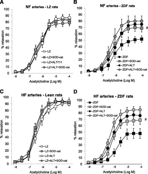 FIG. 4. Effect of SOD and catalase (SOD-cat) on ACh-induced relaxation in NF (A and B) and HF (D and E) mesenteric resistance arteries isolated from LZ (A and C) and ZDF (B and D) rats. #P < 0.05, ALT-711 vs. control (untreated).