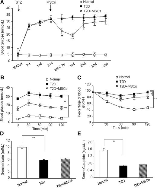 FIG. 2. Infusion of MSCs ameliorates hyperglycemia in T2D rats during the late phase after STZ injection. Twenty one days after STZ injection, diabetic rats received 0.2 mL physiological saline or 2 × 106 MSCs resuspended in 0.2 mL physiological saline. A: Blood glucose level was determined consecutively in alert, fasted rats using a glucometer-ACCU-CHEK Advantage Meter. d, day. Two weeks after MSC infusion, individual glucose tolerance was assessed by OGTTs (B), and individual insulin tolerance was evaluated by IPITTs (C). D: Individual insulin level in fasted and refed rats was evaluated by ELISA. E: Individual C-peptide level in fasted and refed rats was evaluated by ELISA. Values of A–E are means ± SE. n = 10 rats per group. *P < 0.05 and **P < 0.01.