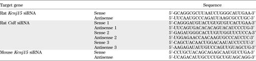 siRNA sequences