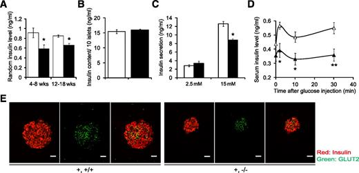 FIG. 4. Reduced insulin secretion in FAK-deficient β-cells with normal GLUT2 expression. A: Reduced random insulin level in RIPcre+fakfl/fl (■) compared with RIPcre+fak+/+ littermates (□); n = 6 per genotype. Insulin content (B) and insulin secretion (C) in response to glucose (2.5 or 15 mmol/L), in group of 10 handpicked, similar-sized islets, were equal between RIPcre+fak+/+ (□) and RIPcre+fakfl/fl (■) islets; n = 4 per genotype. D: Reduced insulin secretion in vivo after glucose stimulation in RIPcre+fakfl/fl (▲) compared with RIPcre+fak+/+ littermates (△); n = 5–6 per genotype. E: Normal expression and distribution of GLUT2 on RIPcre+fakfl/fl islets, as assessed by insulin/GLUT2 immunofluorescent costaining (original magnification ×20); n = 3 per genotype. Scale bars, 40 μm. *P < 0.05; **P < 0.01. Results represent mean ± SE. All mice used in experiments were between 4 and 8 weeks of age. +,+/+, RIPcre+fak+/+; +,−/−, RIPcre+fakfl/fl. wks, weeks. (A high-quality digital representation of this figure is available in the online issue.)