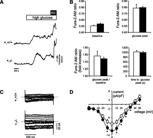 FIG. 5. Normal Ca2+ response in FAK-deficient β-cells. A: Intracellular Ca2+ responses, determined by ratiometric Fura-2-AM fluorescence measurements, were similar between RIPcre+fak+/+ and RIPcre+fakfl/fl islets in response to glucose (11 mmol/L) and slightly increased in response to KCl (20 mmol/L). B: There were no differences in baseline or peak Fura-2-AM ratios, fold increase in response to 11 mmol/L glucose, or the time-to-peak response between RIPcre+fak+/+ (□) and RIPcre+fakfl/fl (■) islets; n = 3 mice per genotype. C: Representative traces of voltage-gated Ca2+ currents measured in response to a series of increasing 500-ms depolarizations from −70 mV in single RIPcre+fak+/+ and RIPcre+fakfl/fl β-cells. D: The current-voltage relationship, normalized to cell size, demonstrates a significant increase in Ca2+ current density (○, RIPcre+fak+/+; ●, RIPcre+fakfl/fl), which likely accounts for the increased intracellular Ca2+ response to KCl seen in B; n = 15–17 β-cells from three mice for each genotype. *P < 0.05. Results represent mean ± SE. All mice used in experiments were between 4 and 8 weeks of age. +,+/+, RIPcre+fak+/+; +,−/−, RIPcre fakfl/fl.