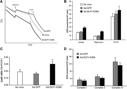 FIG. 3. Expression of DLP1-K38A induces the mitochondrial inner membrane proton leak. A: An oxygraph shows increased respiration by cells expressing DLP1-K38A. B: Calculated OCR indicates that cells expressing DLP1-K38A have higher rate of oxygen consumption in the steady state and in the presence of oligomycin. The maximum OCR in the presence of FCCP shows no significant difference between control and DLP1-K38A cells. Error bars represent SEM. Results are n = 12. P < 0.005 at the steady state and with oligomycin comparing with Ad-GFP-infected cells. C: The leak ratio is presented as the ratio of the OCR with oligomycin to the maximum OCR (OCROligomycin/OCRFCCP). The leak ratio is significantly higher in DLP1-K38A cells. Error bars are SEM. *P < 0.01 with Ad-GFP and *P < 0.05 with uninfected control. D: Respiration of semi-intact cells to evaluate individual complex activities. Glutamate/malate, ADP, rotenone, succinate, antimycin A, and TMPD/ascorbate/cytochrome c were sequentially added to digitonin-permeabilized cells for OCR measurements. Relative activities of complex I, II, and IV between Ad-GFP and Ad-DLP1-K38A cells were compared by the OCRs after adding glutamate/malate/ADP, succinate, and TMPD/ascorbate/cytochrome c, respectively. Results are n = 3 for Ad-GFP and n = 5 for Ad-DLP1-K38A.