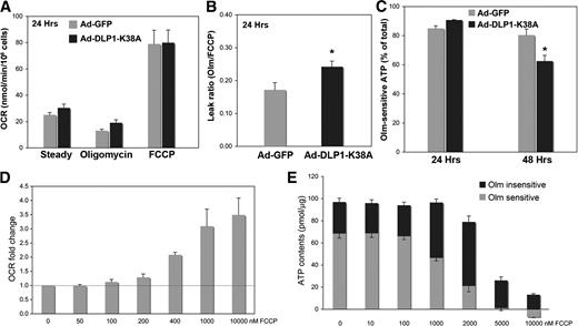 FIG. 5. Mild mitochondrial uncoupling has no adverse effect on mitochondrial ATP production. A: Hepatocytes expressing DLP1-K38A for 24 h had a higher OCR than control cells upon oligomycin treatment, indicating an increased proton leak. B: The calculated leak ratio showed a statistically significant increase of the proton leak upon 24-h DLP1-K38A expression compared with the control (n = 8; *P < 0.05). C: Oligomycin-sensitive ATP levels (60-min oligomycin treatment) indicated little effect of 24-h DLP1-K38A expression on mitochondrial ATP-producing capacity, whereas 48-h DLP1-K38A expression significantly decreased the ATP production from mitochondria (n = 9; *P < 0.01). Error bars are SEM. D: Oxygen consumption was measured in the presence of oligomycin with increasing concentrations of FCCP. OCR measurements indicated that FCCP concentrations at 100–200 nmol/L induce a mild uncoupling, resulting in small increases of the OCR. FCCP concentrations higher than 1 μmol/L cause maximum uncoupling and thus the maximum OCR. n = 6. E: Cellular ATP contents were measured in the presence and absence of 30-min treatment of oligomycin (Olm). Oligomycin-sensitive ATP content (ATP produced from mitochondria) did not decrease in 100 nmol/L FCCP that induced a mild uncoupling. Higher concentrations of FCCP (1–2 μmol/L) decreased mitochondrial ATP production, which was compensated by increases of glycolytic ATP generation. Total cellular ATP contents diminished drastically with 5–10 μmol/L FCCP (n = 6). Error bars are SEM.