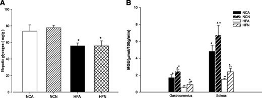 FIG. 2. The effects of central nesfatin-1 on individual tissue glucose uptake and hepatic glycogen. A: Hepatic glycogen. B: Muscle glucose uptake. Four treatment groups were studied: NCA, NCN, HFA, and HFN. Shown are means of 10 rats per group. *P < 0.05, **P < 0.01 vs. ICV ACF-infused rats (NCA), ▲P < 0.01 vs. HFD-fed rats (HFA).