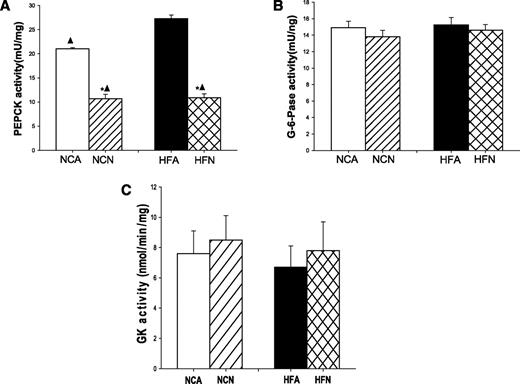 FIG. 3. The effect of central nesfatin-1 administration on the hepatic glucose-regulating enzyme activities. Four treatment groups were studied: NCA, NCN, HFA, and HFN. A: PEPCK activity. B: G-6-Pase activity. C: GK activity. Shown are means ± SE. *P < 0.05 vs. ICV ACF-infused rats (NCA), ▲P < 0.05 vs. HFD-fed rats (HFA).