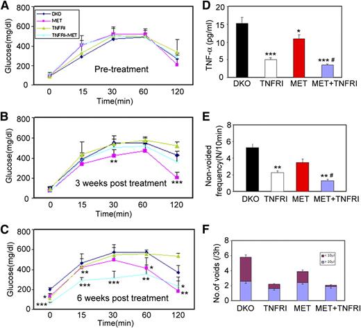 FIG. 8. Combination of metformin (Met) and TNFRI synergistically improved the bladder dysfunction in 12-week-old DKO mice. Six-week-old animals were treated intraperitoneally with 2 mg/kg TNFRI or saline for 6 weeks, twice weekly. Metformin (2 mg/L) was supplemented in drinking water for the duration of the experiment. Control animals drank normal water. The effect of TNFRI+/− metformin treatment on blood glucose level of DKO animals before treatment (A), 3 weeks after treatment (B), and 6 weeks after treatment (C). The TNF-α level in serum (D), the frequency of nonvoiding contractions (E), and the frequency of small volume (<10 μL) voids (F) after 6 weeks of treatment (n = 6 mice for each group). Data are representative of three different experiments and are expressed as the means ± SEM, by one-way ANOVA. *P < 0.05, **P < 0.01, and ***P < 0.001 compared with DKO nontreated control group. #P < 0.05 compared with TNFRI-treated group.