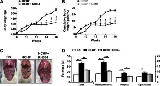 FIG. 2. KH064 modulates diet-induced adiposity in vivo in rats. A: Daily body weights for HCHF-fed rats (n = 10) alone or with daily oral treatment with KH064 (5 mg/kg; HCHF+KH064, n = 10) from weeks 8 to 16. B: Cumulative percentage weight gain for HCHF-fed rats (n = 10) alone or with daily oral treatment with KH064 (5 mg/kg; HCHF+KH064, n = 10) from weeks 8 to 16. C: Representative photographs show comparison of visceral fat in rats at 16 weeks after different treatments. D: Total adiposity and depot specific adiposity for rats from different treatment groups (n = 6). Error bars represent means ± SEM. *P < 0.05, **P < 0.01, ***P < 0.001. (A high-quality color representation of this figure is available in the online issue.)
