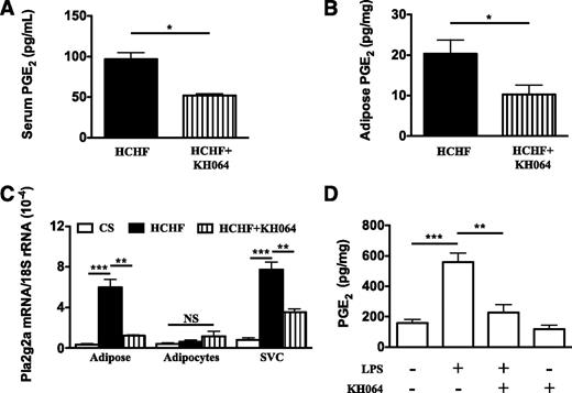 FIG. 3. KH064 treatment modulates PGE2 concentrations in Wistar rats and SVCs. PGE2 concentrations in serum (A) and whole adipose tissue (B) from rats fed a high carbohydrate high fat (HCHF) diet alone or with drug (KH064 5 mg/kg/day). C: Pla2g2a gene expression in whole adipose tissue, adipocyte, and SVC fractions. D: Ex vivo treatment with KH064 inhibits LPS-induced PGE2 production in SVCs. Error bars represent mean ± SEM of least three independent experiments. *P < 0.05, **P < 0.01, ***P < 0.001.