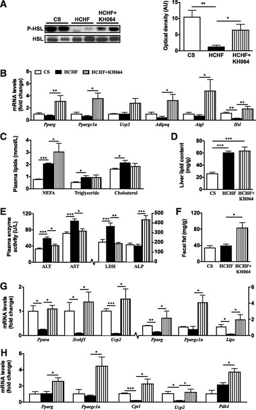 FIG. 5. In vivo responses of KH064 (5 mg/kg/day p.o., weeks 8–16) on the regulation of metabolic parameters that were elevated in rats fed HCHF vs. CS diets for 16 weeks. A: Immunoblot of phospho-HSL (Ser563) in adipose tissue with total HSL as the loading control. Optical density of protein bands was determined using ImageJ software. B: RT-PCR gene expression of genes in adipose tissue of rats fed CS and HCHF diets with and without KH064 treatment. C: Plasma concentrations for lipids nonesterified fatty acids (NEFA), triglycerides, and total cholesterol in rats of different groups (n = 5–10). D: Liver total lipid content in rats of different groups (n = 5). E: Plasma liver enzymes in rats of different groups (n = 5–10). F: Total soluble fecal fat in rats of different groups (n = 5). RT-PCR gene expression of different metabolic genes in liver (G) and skeletal muscle (H). Values of mRNA levels were normalized relative to 18S rRNA. Error bars represent means ± SEM (n = 3–5 animals). *P < 0.05, **P < 0.01, ***P < 0.001.