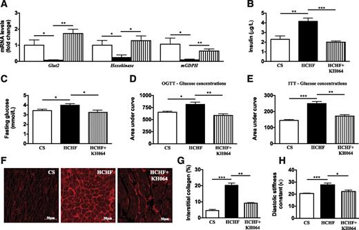 FIG. 6. In vivo and ex vivo responses to KH064 (5 mg/kg/day p.o. for weeks 8–16) of the regulation of metabolic and cardiovascular parameters that were elevated in rats fed HCHF vs. CS diets for 16 weeks. A: RT-PCR analysis of glucose metabolism genes in rat pancreas of different groups. B: Plasma concentrations of insulin in rats of different groups (n = 5). C: Fasting blood glucose concentrations in rats of different groups (n = 6 for all groups). D: Oral glucose tolerance tests (OGTT) in rats of different groups (n = 6 for all groups). E: Insulin tolerance test (ITT) in rats of different groups (n = 6 for all groups). F: Representative images (original magnification ×40) of interstitial collagen deposition in the left ventricle. G: Quantitative measurement of the area of collagen deposition in the interstitial region of the left ventricle (n = 4 for all groups). H: Diastolic stiffness constant of rats in different groups. Error bars represent mean ± SEM (n = 3–5 animals). *P < 0.05, **P < 0.01, ***P < 0.001. (A high-quality color representation of this figure is available in the online issue.)