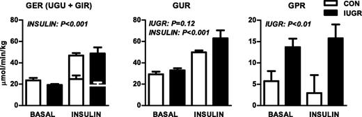 FIG. 1. Glucose metabolism flux rates measured in late gestation CON and growth-restricted (IUGR) fetal sheep during basal and hyperinsulinemic clamp (insulin) periods. Total fetal GER represents the sum of UGU (lower bars) and GIR (upper bars). GUR was measured with glucose tracer, and GPR represents the difference between GUR and GER. Means ± SE are shown for CON (n = 6; white bars) and IUGR (n = 8 or 9; black bars). Significant effects from two-way ANOVA are indicated.