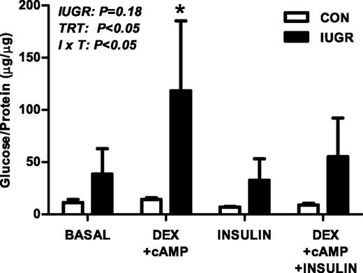 FIG. 7. The effect of growth restriction (IUGR) on glucose production in isolated primary fetal hepatocytes. Hepatocytes were isolated from CON and IUGR fetal livers. Glucose production was measured after 24 h of treatment with 500 nmol/L dexamethasone (DEX), 100 μmol/L cAMP, or 100 nmol/L insulin, as indicated. Results are expressed as glucose produced (μg) per amount of protein per well (μg). Means ± SE are shown (CON cell isolations, n = 4; IUGR cell isolations, n = 4). Significant effects from two-way ANOVA are indicated. *P < 0.05 compared with all other group × treatment (I × T) comparisons.