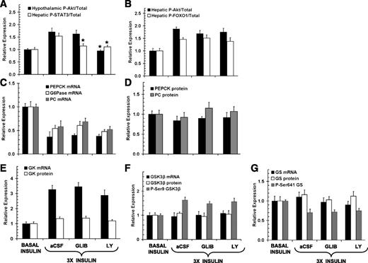 FIG. 2. Molecular response to a threefold increase in portal vein insulin infusion in animals characterized in Fig. 1. Hypothalamic insulin signaling indices (A) and hepatic insulin signaling indices (B). Hepatic gluconeogenic mRNA (C) and protein (D) expression. GK mRNA and protein expression (E); GSK3β mRNA, protein, and phosphorylation levels (F) and GS mRNA, protein, and phosphorylation levels (G) are shown. Representative Western blots can be found in Supplemental Fig. 4. Values are means ± SEM; n values are the same as in Fig. 1. *P < 0.05 difference versus the aCSF-treated hyperinsulinemic group.