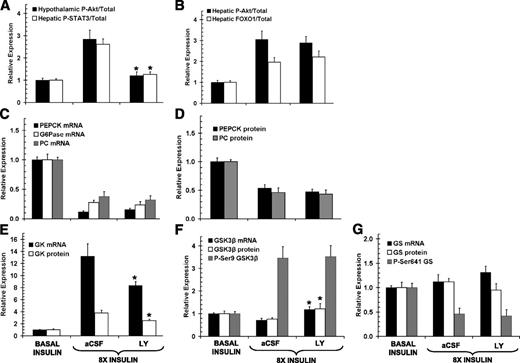 FIG. 4. Molecular response to eightfold increase in portal vein insulin infusion in animals characterized in Fig. 3. Hypothalamic insulin signaling indices (A) and hepatic insulin signaling indices (B). Hepatic gluconeogenic mRNA (C) and protein expression (D) are shown. Glucokinase mRNA and protein expression (E); GSK3β mRNA, protein, and phosphorylation levels (F); and GS mRNA, protein, and phosphorylation levels (G) are shown. Representative Western blots can be found in Supplemental Fig. 5. Values are means ± SEM; n values are the same as in Fig. 3. *P < 0.05 difference versus the aCSF-treated hyperinsulinemic group.