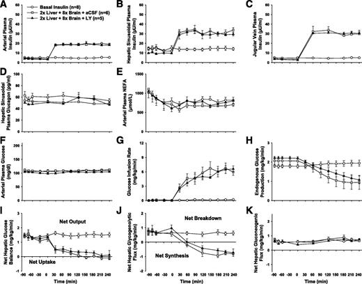 FIG. 5. Metabolic response to increased insulin infusion (portal vein plus head arteries) to bring about two times the hepatic-insulin and eightfold brain-insulin levels in dogs maintained on a pancreatic clamp (compared with basal insulin–infused controls). A–E: Circulating insulin, glucagon, and NEFA levels. F–K: Glucose flux parameters. Euglycemia was maintained (F) with similar rates of glucose infusion between groups (G). Insulin infusion suppressed both EGP (H) and NHGB (I). The alteration in NHGB was primarily a function of reduced net hepatic glycogenolytic flux (J) with no apparent effect on net hepatic gluconeogenic flux (K). Values are means ± SEM; n = 6, 5, and 8 in aCSF, LY, and BASAL INS groups, respectively. There were no significant differences between hyperinsulinemic groups in any parameter when brain-insulin action was blocked. During the hyperinsulinemic period, insulin, glucose infusion rate, EGP, net hepatic glucose balance, and net hepatic glycogenolytic flux differed (P < 0.05) in those groups from their basal period values and compared with the basal insulin group.
