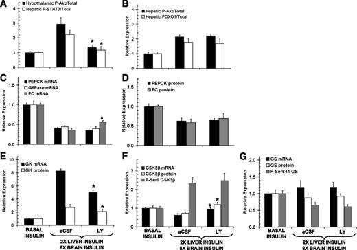 FIG. 6. Molecular response to hyperinsulinemia (two times liver, eightfold brain) for animals characterized in Fig. 5. Hypothalamic insulin signaling indices (A) and hepatic insulin signaling indices (B) are shown. Hepatic gluconeogenic mRNA (C) and protein (D) expression are shown. Glucokinase mRNA and protein expression (E); GSK3β mRNA, protein, and phosphorylation levels (F); and GS mRNA, protein, and phosphorylation levels (G) are shown. Representative Western blots can be found in Supplemental Fig. 6. Values are means ± SEM; n values are the same as in Fig. 5. *P < 0.05 difference versus the aCSF-treated hyperinsulinemic group.
