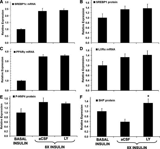 FIG. 7. Molecular regulators of GK expression in animals characterized in Fig. 3. SREBP1c mRNA (A) and SREBP1 protein (B) levels, peroxisome proliferator–activated receptor γ (PPARγ) (C) and liver X receptor (LXR)α (D) mRNA expression, hepatocyte nuclear factor (HNF) 4 phosphorylation (E), and SHP protein expression (F) are shown. Values are means ± SEM; n values are the same as in Fig. 3. *P < 0.05 difference versus the aCSF-treated hyperinsulinemic group.