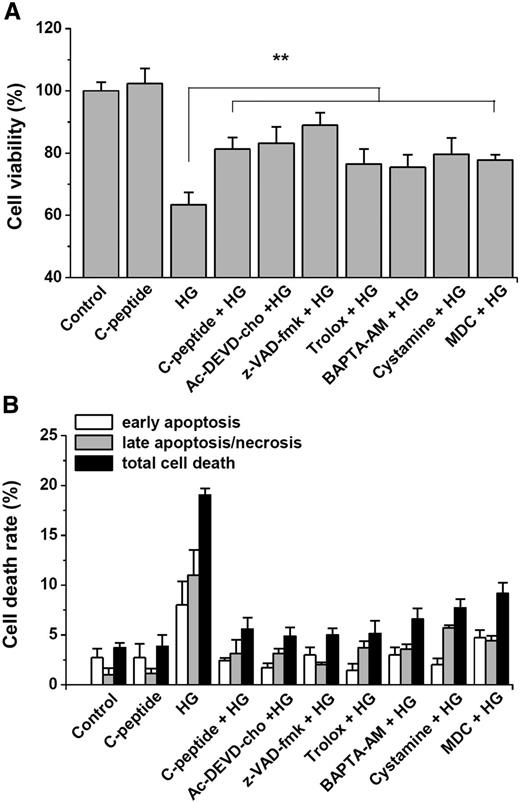 FIG. 1. C-peptide and inhibitors of intracellular ROS, Ca2+, and TG2 inhibit high glucose (HG)–induced apoptotic cell death in HUVECs. Confluent cells were preincubated with 1 nmol/L C-peptide, 5 μmol/L Ac-DEVD-cho, 1 μmol/L Z-VAD-fmk, 0.5 mmol/L Trolox, 5 μmol/L BAPTA-AM, 50 μmol/L cystamine, or 10 μmol/L monodansylcadaverine (MDC) for 30 min, followed by incubation with HG (33 mmol/L d-glucose) for 72 h. A: Cell viability was determined using an MTT reduction assay. B: HG-induced apoptotic cell death was measured by DiOC6/PI double-staining. Early and late apoptotic cell death rates were determined as described in RESEARCH DESIGN AND METHODS. Results are expressed as mean ± SD from three independent experiments. **P < 0.01. 
