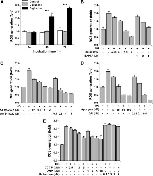 FIG. 3. High glucose (HG)–induced generation of intracellular ROS is prevented by various inhibitors. Cells were incubated with HG (33 mmol/L d-glucose) in the presence of the indicated inhibitors for 48 h, and the levels of intracellular ROS were determined as described in RESEARCH DESIGN AND METHODS. A: Time course changes in intracellular ROS by control, l-glucose, and d-glucose. Dose-dependent inhibition of HG-induced ROS generation by Trolox and BAPTA-AM (B), PKC inhibitors (C), NADPH oxidase inhibitors DPI (diphenylene iodonium) and apocynin (D), and carbonyl cyanide m-chlorophenyl hydrazone (CCCP), dinitrophenol (DNP), and rotenone (E). Results are expressed as mean ± SD from three independent experiments. ***P < 0.001. 