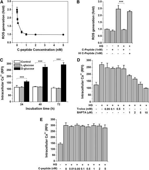 FIG. 4. C-peptide inhibits high glucose (HG)–induced ROS generation but has no effect on intracellular Ca2+. Cells were incubated with HG (33 mmol/L d-glucose) in the presence of the indicated concentrations of C-peptide, Trolox, and BAPTA-AM for 48 h, and intracellular ROS and Ca2+ levels were determined as described in RESEARCH DESIGN AND METHODS. A: Dose-dependent inhibition of HG-induced ROS generation by C-peptide. B: Heat-inactivated (H1) C-peptide (1 nmol/L) has no effect on HG-induced ROS generation. C: Time course changes in intracellular Ca2+ level by control, l-glucose, and d-glucose. D: BAPTA-AM, but not Trolox, has a dose-dependent inhibitory effect on HG-induced elevation in intracellular Ca2+ levels. E: C-peptide does not inhibit HG-induced elevation of intracellular Ca2+. Results are expressed as mean ± SD from three independent experiments. ***P < 0.001. 