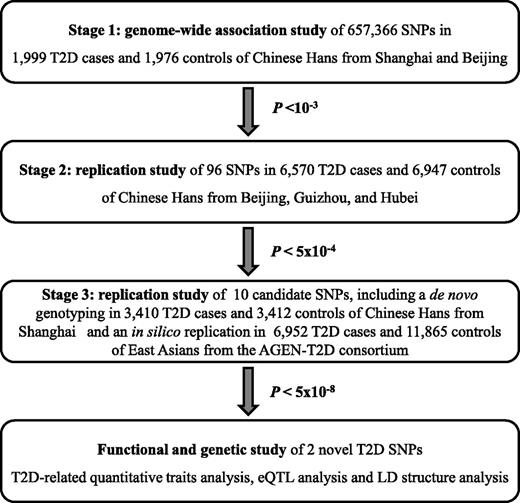 FIG. 1. Summary of study design.
