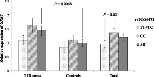 FIG. 4. Expression analysis of GRK5. The relative expression levels of GRK5 were measured in blood samples from 30 T2D case subjects (rs10886471 genotype: TT+TC/n = 11; CC/n = 19) and 34 nondiabetic control subjects (rs10886471 genotype: TT+TC/n = 13; CC/n = 20 [one missing data]). Data are presented as mean and error bars (± SEM). Values of the GRK5 relative expression levels were natural log transformed before analysis.
