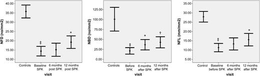 FIG. 3. CNFD (left), CNBD (middle), and CNFL (right) in diabetic patients at baseline and at 6 and 12 months after SPK. *P < 0.05; †P < 0.01; ‡P < 0.001 (baseline vs. control; 6 months vs. baseline; 12 months vs. baseline).
