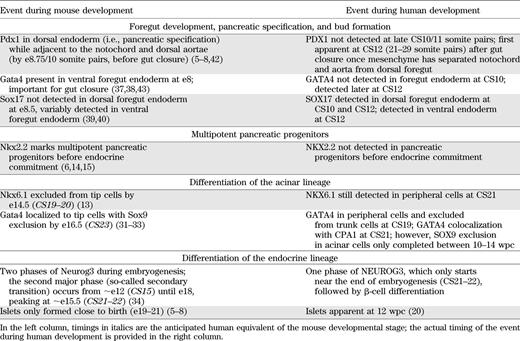 Comparison of pancreas development between mouse and human