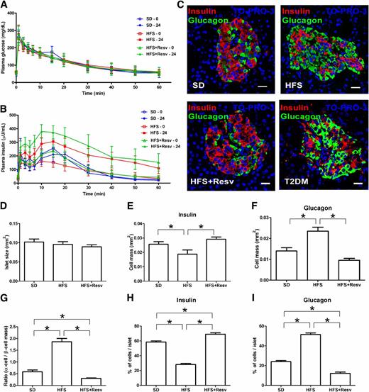 FIG. 1. HFS diet–induced morphological changes in pancreatic islets. A and B: Glucose (A) and insulin (B) levels at fasting and after IVG challenge (300 mg/kg) before (0, open bars) and after (24, closed bars) 24 months on SD (blue circle, n = 4), HFS diet (red square, n = 10), or HFS+Resv diet (green triangle, n = 10) interventions in adult rhesus monkeys. C: Representative images of immunostaining for insulin (red), glucagon (green), and TO-PRO-3 (blue) in islets of monkeys after 24 months on the indicated diet intervention, and in two nonstudy monkeys in which T2DM spontaneously developed. Scale bar = 20 µm. D–F: Quantification of total islet size (D), β-cell mass (insulin) (E), and α-cell mass (glucagon) (F). G: Ratio of α-cell mass to β-cell mass. H and I: The percentage of cells that were insulin-positive (H) and glucagon-positive (I) in each islet. Data are shown as the mean ± SEM. *P < 0.05.