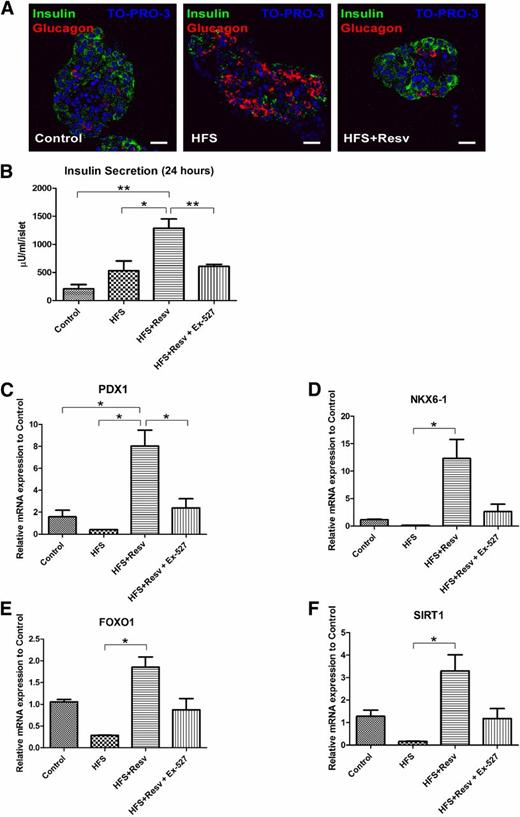 FIG. 5. Resveratrol protects islet morphology, increases insulin secretion, and increases mRNA expression of PDX1, NKX6–1, FOXO1, and SIRT1 in human islets. A: Immunostaining for insulin (green), glucagon (red), and TO-PRO-3 (blue) in human islets. Scale bar = 20 µm. B: Insulin secretion per human islet after 24 h in low-glucose (Control), HFS, HFS+Resv, or HFS+Resv and a SIRT1 inhibitor (HFS+Resv + EX-527). C–F: Quantitation of mRNA levels for PDX1 (C), NKX6–1 (D), FOXO1 (E), and SIRT1 (F) in human islets after the indicated treatments. Data are shown as the mean ± SEM. *P < 0.05, **P < 0.01.