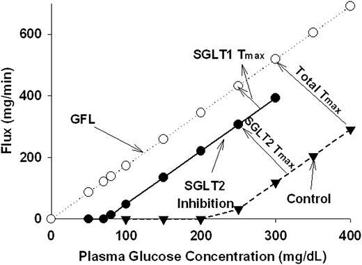 FIG. 2. Relationship between glucose filtration load (GFL) and UGE and the plasma glucose concentration under physiologic conditions and during maximal inhibition of SGLT2.