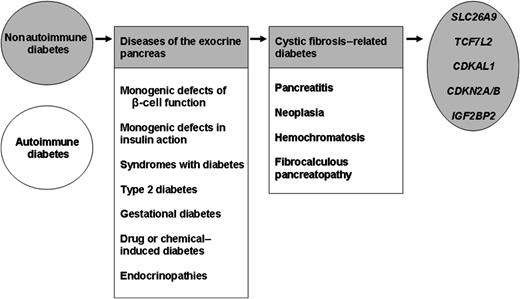 FIG. 1. Diabetes, a heterogeneous complex inherited disorder.