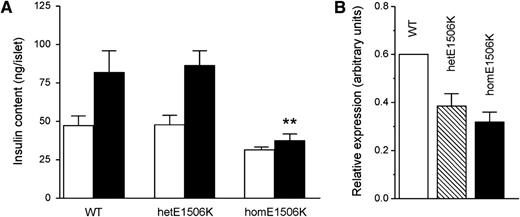 FIG. 6. A: Insulin content measured at 2 (white bars) and 6 months of age (black bars) in islets isolated from WT (2 months, n = 4; 6 months, n = 5 mice), hetE1506K (2 months, n = 4; 6 months, n = 5 mice), and homE1506K (2 months, n = 4; 6 months, n = 5 mice). B: Quantitative PCR of insulin mRNA measured in islets isolated from 6-month-old WT (n = 2), hetE1506K (n = 4), and homE1506K (n = 4) mice. P < 0.01 against WT (6 months of age) and hetE1506K (6 months of age). **P < 0.01 against WT. Student t test.