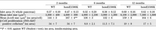Morphometric analysis of pancreatic islets in WT and homE1506K mice