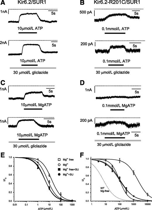 FIG. 2. Effect of gliclazide on ATP block of wild-type and R201C KATP channels. A–D: Representative Kir6.2/SUR1 (A and C) and Kir6.2-R201C/SUR1 (B and D) currents recorded at −60 mV in the absence (A and B) and presence (C and D) of Mg2+. Gliclazide and ATP were added as indicated by the bars. The dotted line indicates the zero current level. E and F: ATP concentration-inhibition curves for Kir6.2/SUR1 (E) and Kir6.2-R201C/SUR1 (F) channels measured in the absence of both gliclazide (SU) and Mg2+ (□) and in the absence of gliclazide but in the presence of 2 mmol/L Mg2+ (○), 30 μmol/L gliclazide without Mg2+ (■), and 30 μmol/L gliclazide plus 2 mmol/L Mg2+ (●). The lines are the best fit of Eq. 1 to the mean data with the following parameters: Kir6.2/SUR1 (E) IC50 = 6.8 μmol/L, h = 1.0 (□); IC50 = 4 μmol/L, h = 1.0 (■); IC50 = 16 μmol/L, h = 1.0 (○); and IC50 = 4 μmol/L, h = 0.97 (●) and Kir6.2-R201C/SUR1 (F): IC50 = 98 μmol/L, h = 1.4 (□); IC50 = 2.0 mmol/L, h = 1.1 (○); IC50 = 97 μmol/L, h = 0.87 (■); and IC50 = 107 μmol/L, h = 0.90 (●). The dotted line is the concentration-inhibition curve for Kir6.2/SUR1 channels in the absence of Mg2+ and gliclazide (Fig. 2E) (□). SU, sulfonylurea; WT, wild-type.