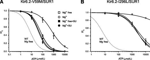 FIG. 3. Effect of gliclazide on ATP block of mutant KATP channels with impaired gating. ATP concentration-inhibition curves for Kir6.2-V59M/SUR1 (A) and Kir6.2-I296L/SUR1 (B) channels were measured in the absence of both gliclazide and Mg2+ (□) and in the absence of gliclazide but the presence of 2 mmol/L Mg2+ (○), 30 μmol/L gliclazide without Mg2+ (■), and 30 μmol/L gliclazide plus 2 mmol/L Mg2+ (●). The dotted line is the concentration-inhibition curve for Kir6.2/SUR1 channels in the absence of Mg2+ and gliclazide (Fig. 2E, □). The lines are the best fit of Eq. 1 to the mean data with the following parameters: Kir6.2-V59M/SUR1 (A): IC50 = 62 μmol/L, h = 1.0 (□); IC50 = 510 μmol/L, h = 0.7 (○); IC50 = 40 μmol/L, h = 1.1 (■); and IC50 = 46 μmol/L, h = 1.1 (●) and Kir6.2-I296L/SUR1 (B): IC50 = 2.8 mmol/L, h = 0.76 (□); IC50 = 2.3 mmol/L, h = 0.86 (■); and IC50 = 2.4 mmol/L, h = 1.0 (●). The line through the open circles was drawn by hand. SU, sulfonylurea; WT, wild-type.