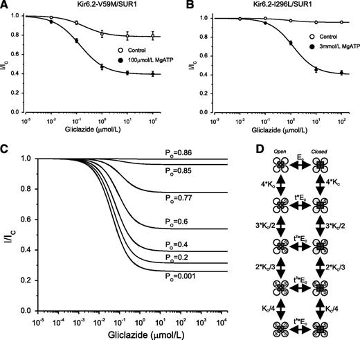 FIG. 5. ATP modulation of gliclazide block of mutant KATP channels with impaired gating. A and B: Gliclazide concentration-inhibition relations for Kir6.2-V59M/SUR1 (n = 6) and Kir6.2-I296L/SUR1 (n = 6) channels in the absence (○) and presence (●) of MgATP. The MgATP concentration was 100 μmol/L for Kir6.2-V59M/SUR1 and 3 mmol/L for Kir6.2-I296L/SUR1. The lines are the best fit of Eq. 1 to the mean data with the following parameters: Kir6.2-V59M/SUR1 (A): IC50 = 200 nmol/L, h = 0.92, a = 0.79 (○) and IC50 = 140 nmol/L, h = 0.88, a = 0.39 (●) and Kir6.2-I296L/SUR1 (B): IC50 = 930 nmol/L, h = 1.5, a = 0.95 (○) and IC50 = 1,200 nmol/L, h = 0.98, a = 0.41 (●). C and D: Simulation of the dependence of high-affinity gliclazide block on PO in nucleotide-free solutions with a Monod-Wyman-Changeux model. C: Fractional block of KATP current, as a function of gliclazide concentration, for different values of PO. Currents are expressed relative to those in the absence of gliclazide. The lines are drawn to the following: (1 + F + E0) × (1 + [S]/Kd,O)4/ [(1 + F) × (1 + [S]/Kd,O)4 + E0 × (1 + [S]/Kd,C)4], where F = 0.16 is the equilibrium gating constant for the fast intraburst transitions (from maximal PO of 0.86 when E0 = 0), E0 = [1 − PO × (1 + F)] / PO is the equilibrium gating constant for the slow interburst transitions, [S] is the gliclazide concentration, and Kd,O = 70 nmol/L and Kd,C = 50 nmol/L are the dissociation constants for gliclazide binding to the open and closed states, respectively. D: Monod-Wyman-Changeux model for gliclazide-dependent gating of KATP channels used to derive the current traces in C. This model is the simplest mechanism of concerted gating, which has previously been shown to occur in KATP channels (48–50). KC, sulphonylurea binding constant for the closed state; KO, sulphonylurea binding constant for the open state; S, sulphonylurea; t, proportionality factor reflecting the change in the equilibrium gating constant E0 when sulphonylurea is bound to the channel (t = KO/KC).