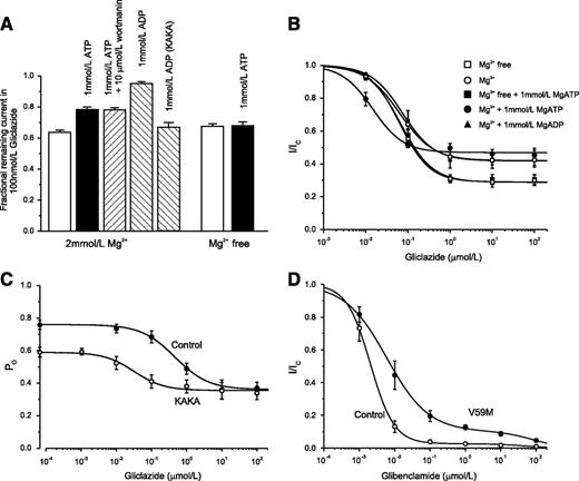 FIG. 7. Reduction of gliclazide block by nucleotides. A: Mean ± SEM current remaining in the presence of 100 nmol/L gliclazide and nucleotides (n = 6) for Kir6.2-G334D/SUR1 or Kir6.2-G334D/SUR1-KAKA (KAKA) channels. B: Fractional block of Kir6.2-G334D/SUR1-KAKA currents as a function of gliclazide concentration in the absence (○; n = 6) and presence (●; n = 6) of 1 mmol/L MgATP or 1 mmol/L MgADP (▲; n = 6) and in the absence (□; n = 6) and presence (■; n = 6) of 1 mmol/L ATP (Mg-free solution). The lines are the best fit of Eq. 1 to the mean data with the following parameters: IC50 = 63 nmol/L, h = 1.1, a = 0.42 (○); IC50 = 15 nmol/L, h = 1.2, a = 0.46 (●); IC50 = 75 nmol/L, h = 1.2, a = 0.42 (▲); IC50 = 64 nmol/L, h = 1.2, a = 0.29 (□); and IC50 = 67 nmol/L, h = 1.2, a = 0.29 (■). A and B: Experiments were performed in the inside-out patch configuration. C: Dependence of single-channel PO on gliclazide concentration for Kir6.2-G334D/SUR1 channels (control [●]; n = 6) and Kir6.2-G334D/SUR1-KAKA channels (KAKA [○]; n = 6) measured in cell-attached patches. The lines are the best fit of the following to the mean data: , where PO(0) is the single-channel PO in the absence of gliclazide, [X] is the gliclazide concentration, IC50 is the gliclazide concentration at which the inhibition is half maximal, h is the Hill coefficient, and a is the fractional PO at gliclazide concentrations that saturate the high-affinity SUR1 site. PO(0) = 0.76, IC50 = 440 nmol/L, h = 0.92, a = 0.47 (●) and PO(0) = 0.59, IC50 = 30 nmol/L, h = 1.0, a = 0.60 (●). D: Mean ± SEM relationship between glibenclamide and the whole-cell KATP current measured in β-cells from control mice (○; n = 6 cells, three mice) and mice in which the Kir6.2-V59M mutation was induced (V59M [●]; n = 6 cells, three mice). Current (I) is expressed relative to that in drug-free solution (IC). The curves are the best fit of Eq. 2 to the mean data with the following parameters: IC50(1) = 2 nmol/L, h1 = 1.3, IC50(2) = 45 μmol/L, h2 = 1, a = 0.03 (control [○]) and IC50(1) = 6 nmol/L, h1 = 0.74, IC50(2) = 80 μmol/L, h2 = 1, a = 0.1 (V59M [●]).